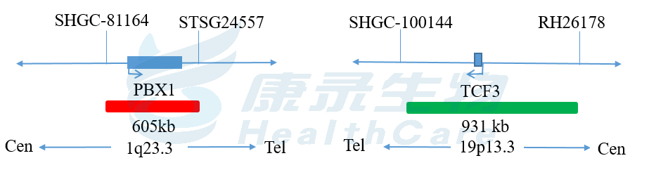中国·拉斯维加斯(3499·官方认证)网站-Officialwebsite